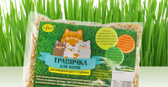 Травка для кошек