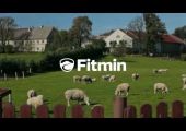 Fitmin - official video