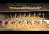 Production of Fitmin feed