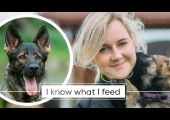 SIT, LIE DOWN – Canine Sports