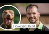 CANINE GLADIATORS – Staff bull show
