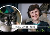 CAT HOUSE - with one hundred cats living there