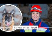 DOG HEROES - Specialized rescue unit OSP Wroclaw