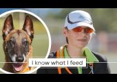 BLIND - GUIDE DOGS