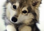 a738ceec705d4cb698eb9840818fe4d4.jpg