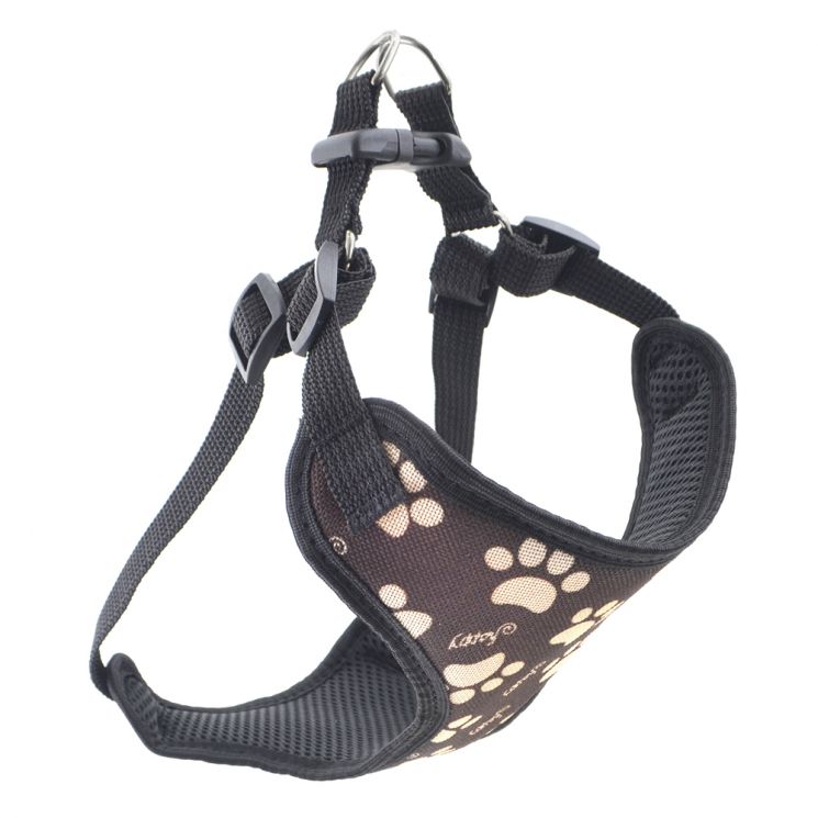 “Gloria” Harnesses