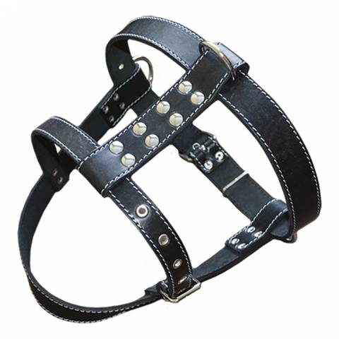 "Shepherd" Leather Harness