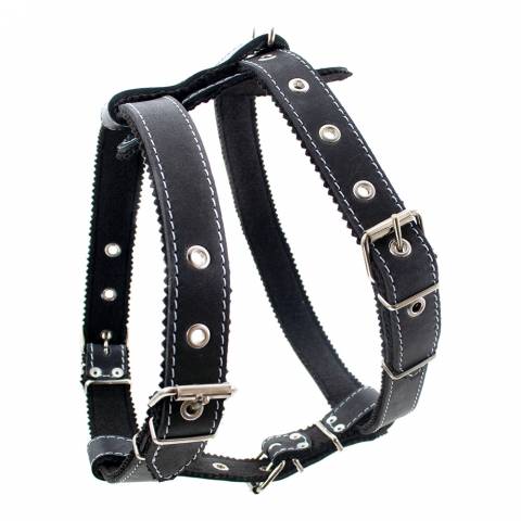 "Boxer-2" Leather Harness